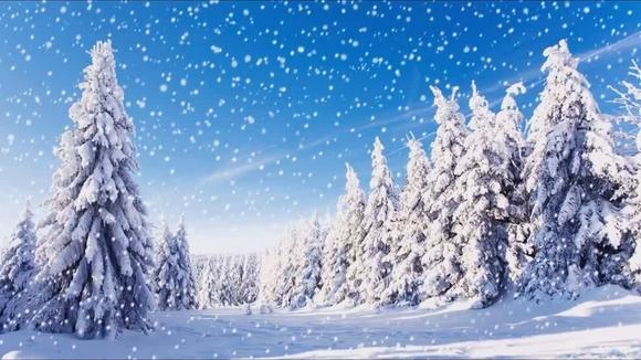 你的爱情给了谁